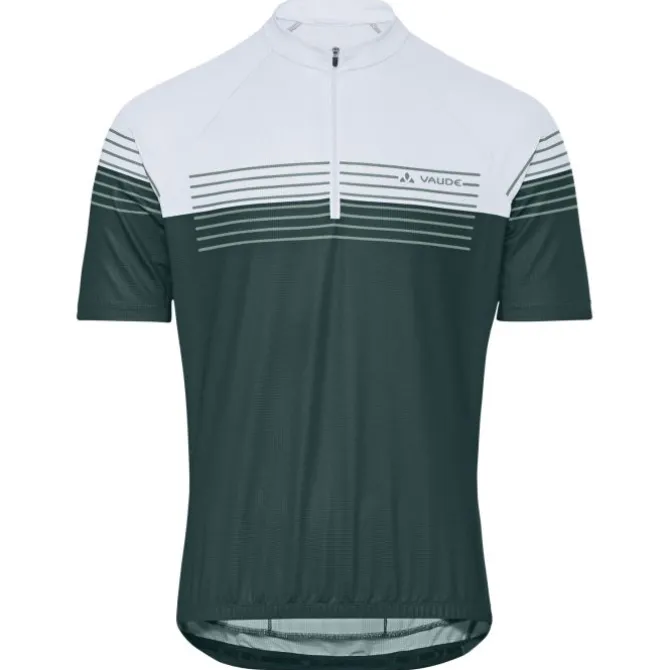Posta Half-Zip II Fahrrad Trikot Herren