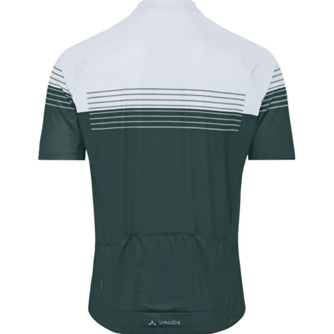 Posta Half-Zip II Fahrrad Trikot Herren