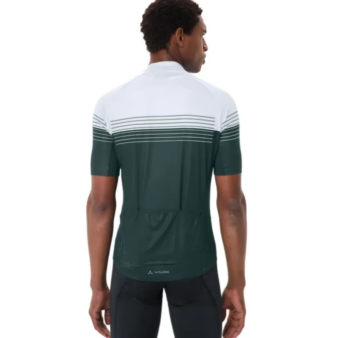Posta Half-Zip II Fahrrad Trikot Herren